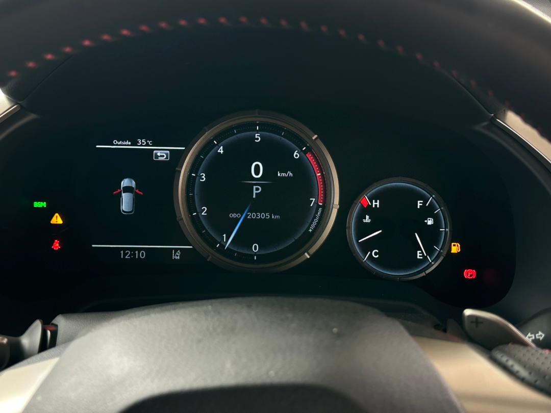 LEXUS RX300 F SPORT 2022
